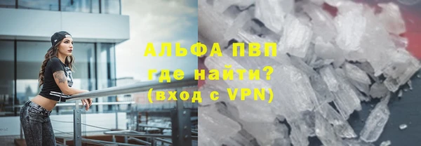 СК Алексин