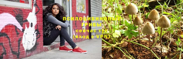 каннабис Алексеевка