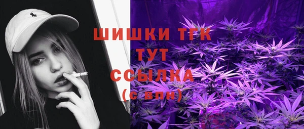 СК Алзамай